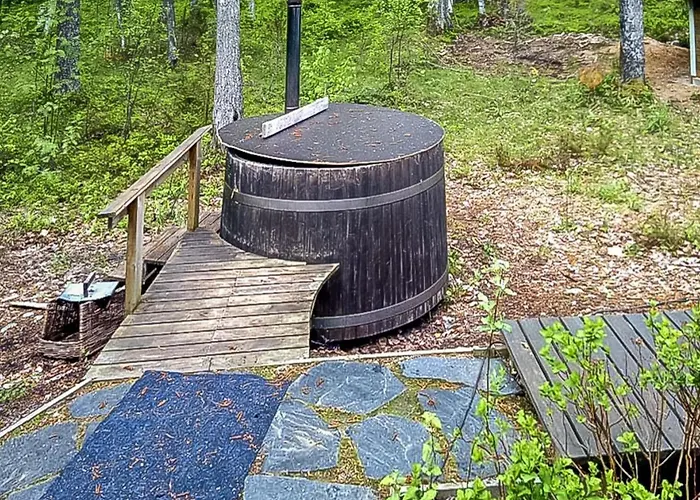 Populus By Interhome Ferienhaus Pertunmaa